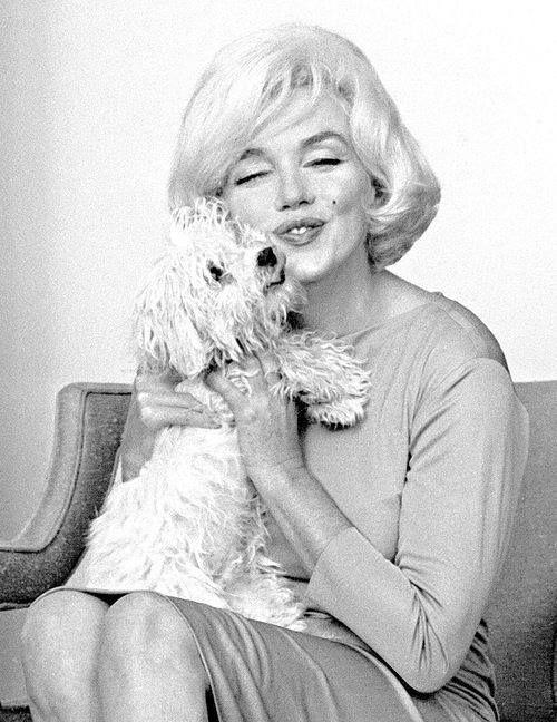 MARILYN’S LITTLE MAF