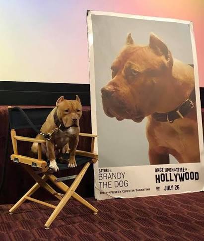 ONCE UPON A TIME… IN HOLLYWOOD — Brad Pitt & Brandy