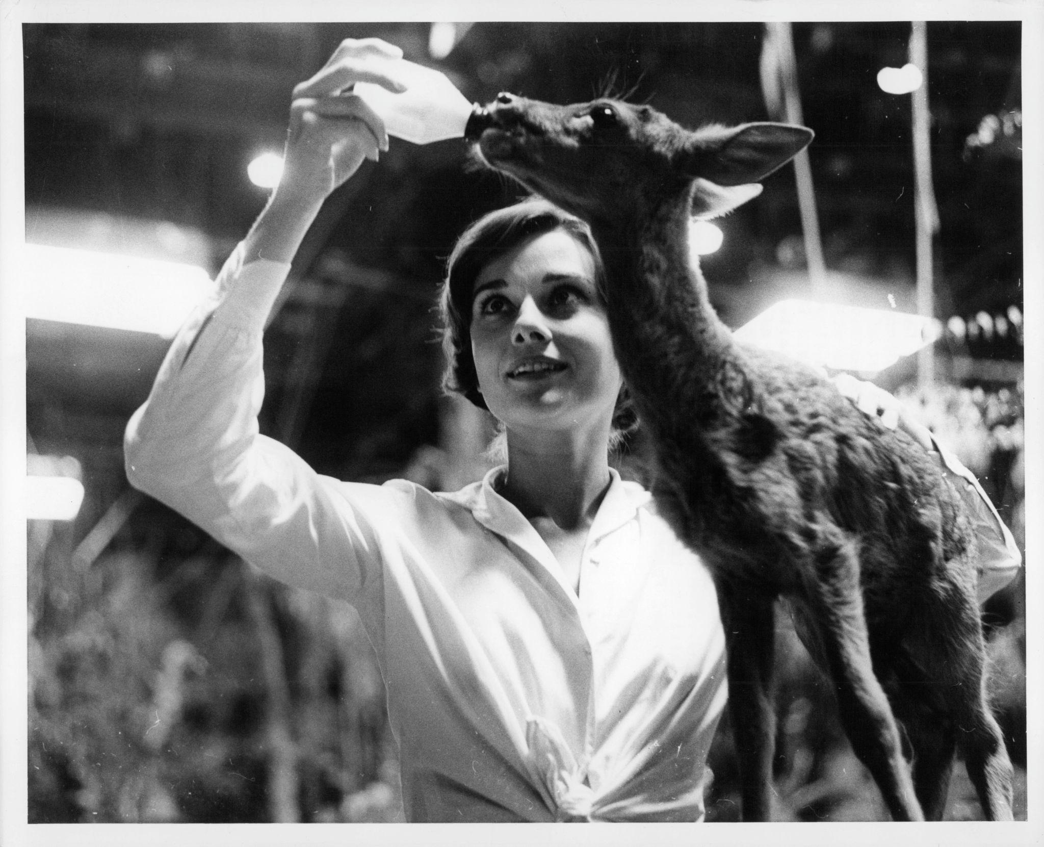 Hollywood's Golden Age Had a Furry Side: Classic Stars and Their Iconic Animals