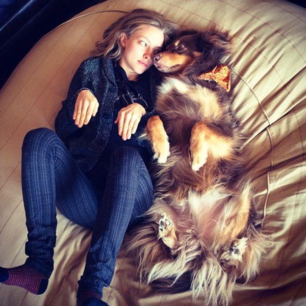 Forever in Our Feeds: Celeb Pet Goodbyes That Broke the Internet (and Our Hearts)