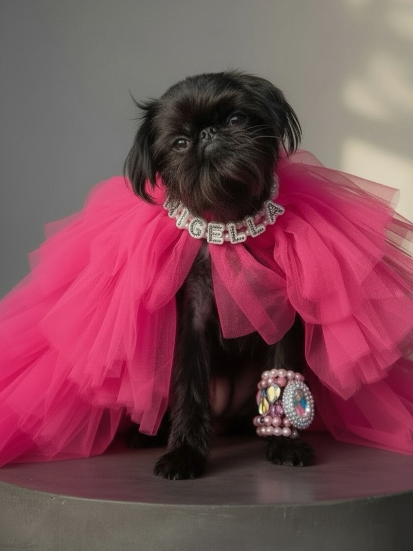 Hollywood's Hottest Trend: Stars Who Let Their Dogs Run the Show