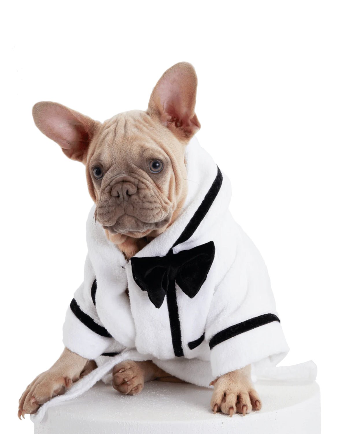 Best Man Cat Bathrobe