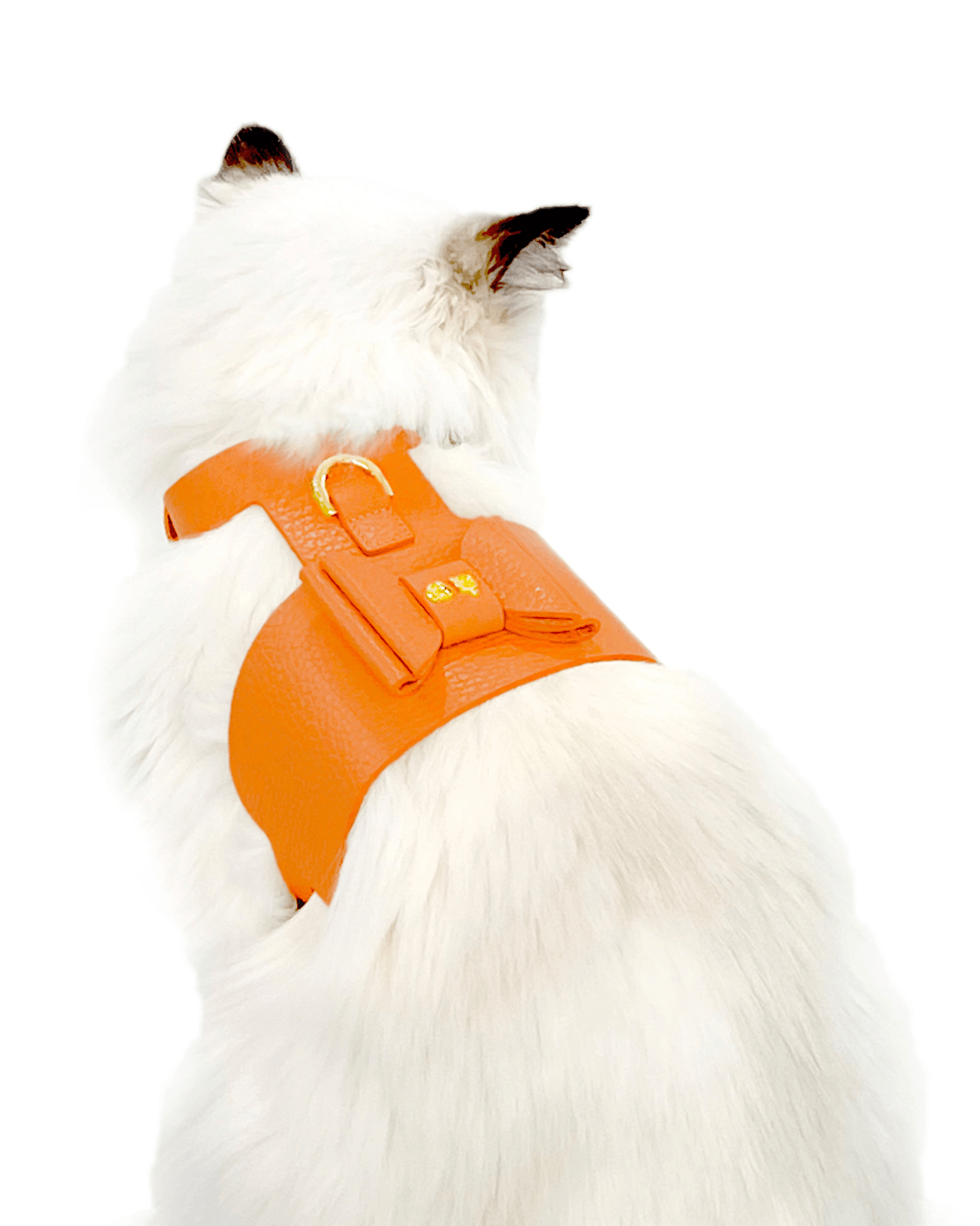 Bijou Cat Harness
