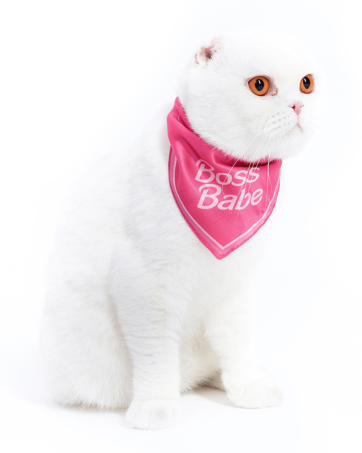 Boss Babe Cat Bandana