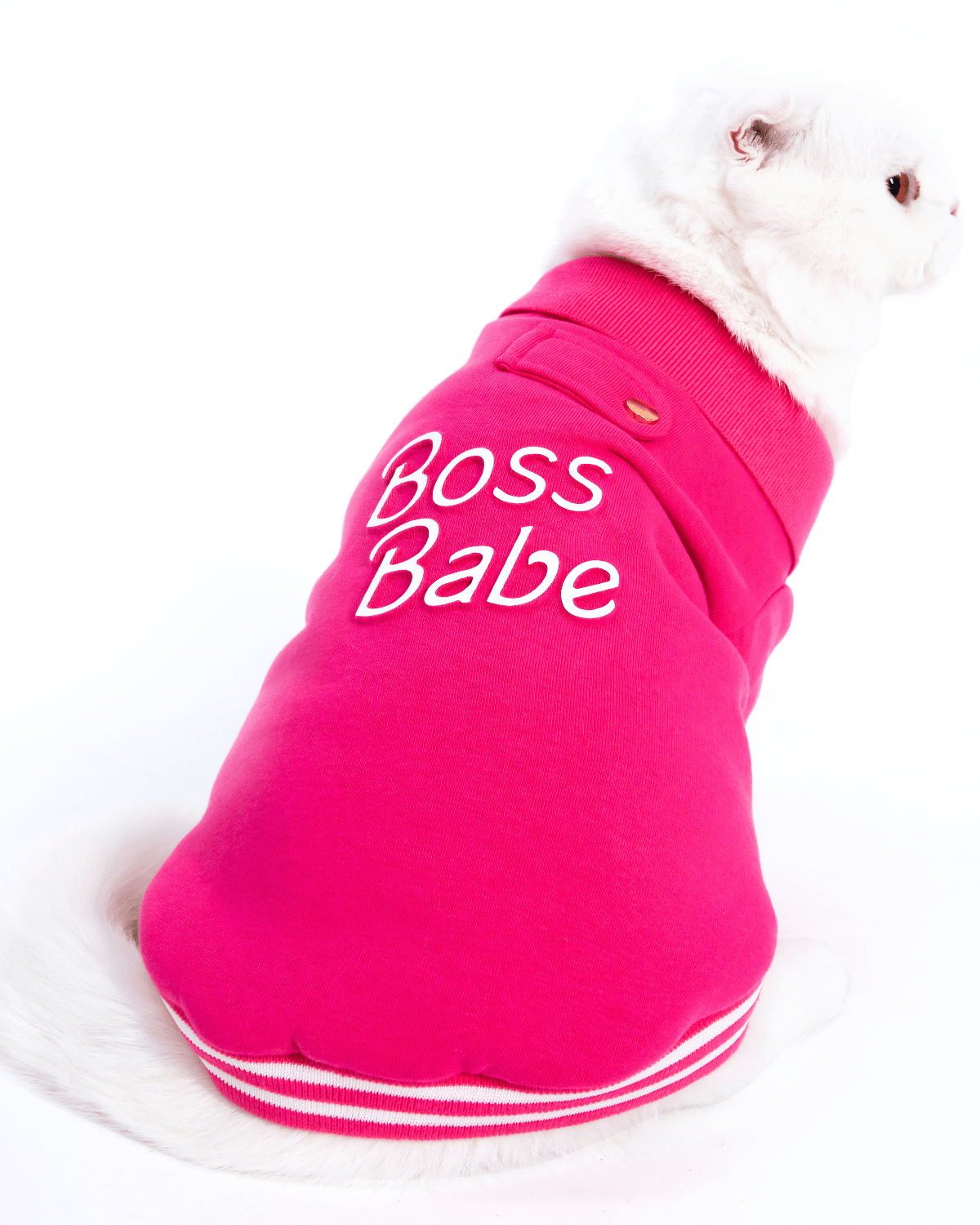 Boss Babe Cat Sweatshirt
