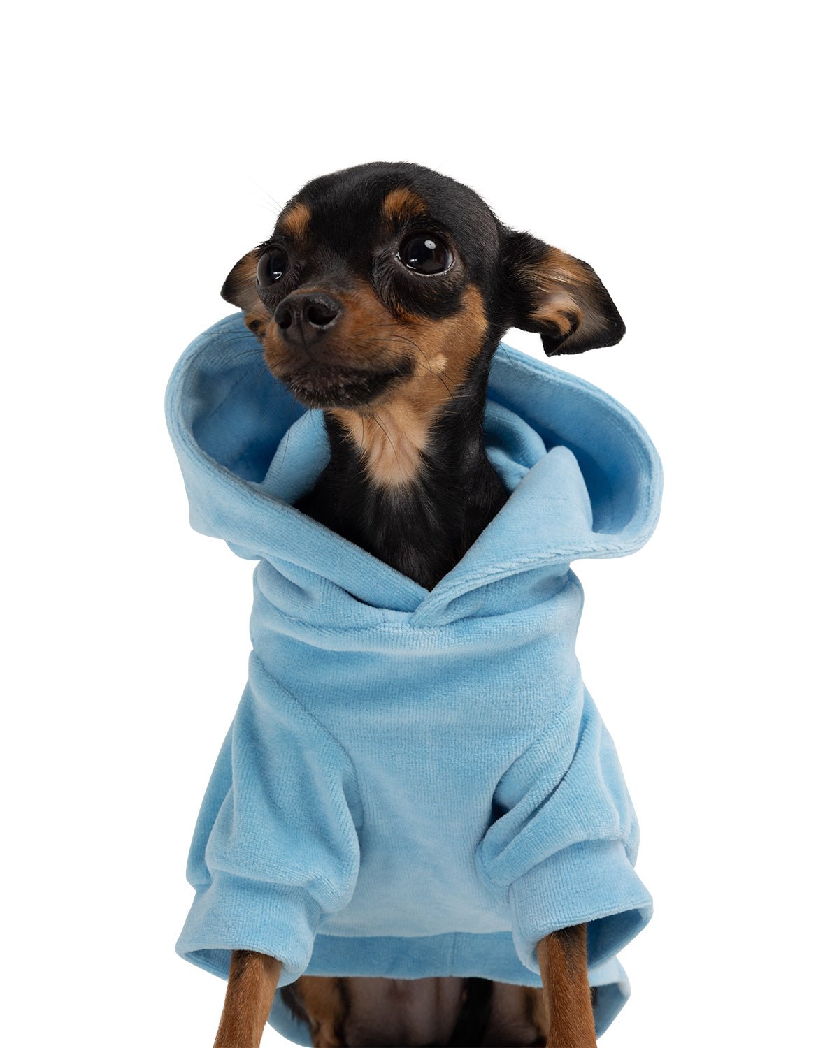 Cute But Psycho Dog Hoodie