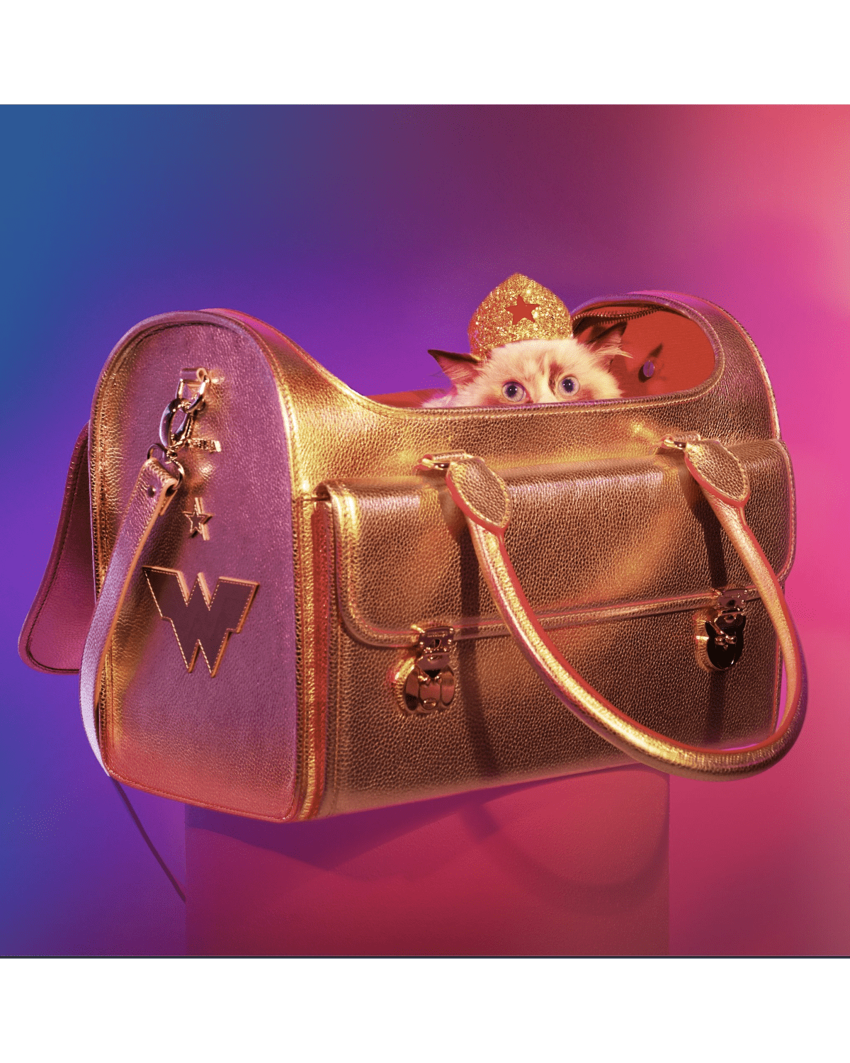 Golden Wonder Nest Cat Carrier