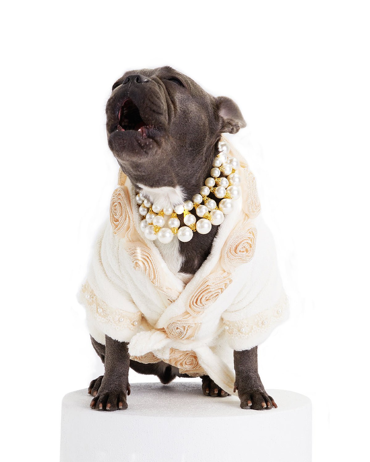 Juliet Dog Luxurious Bathrobe