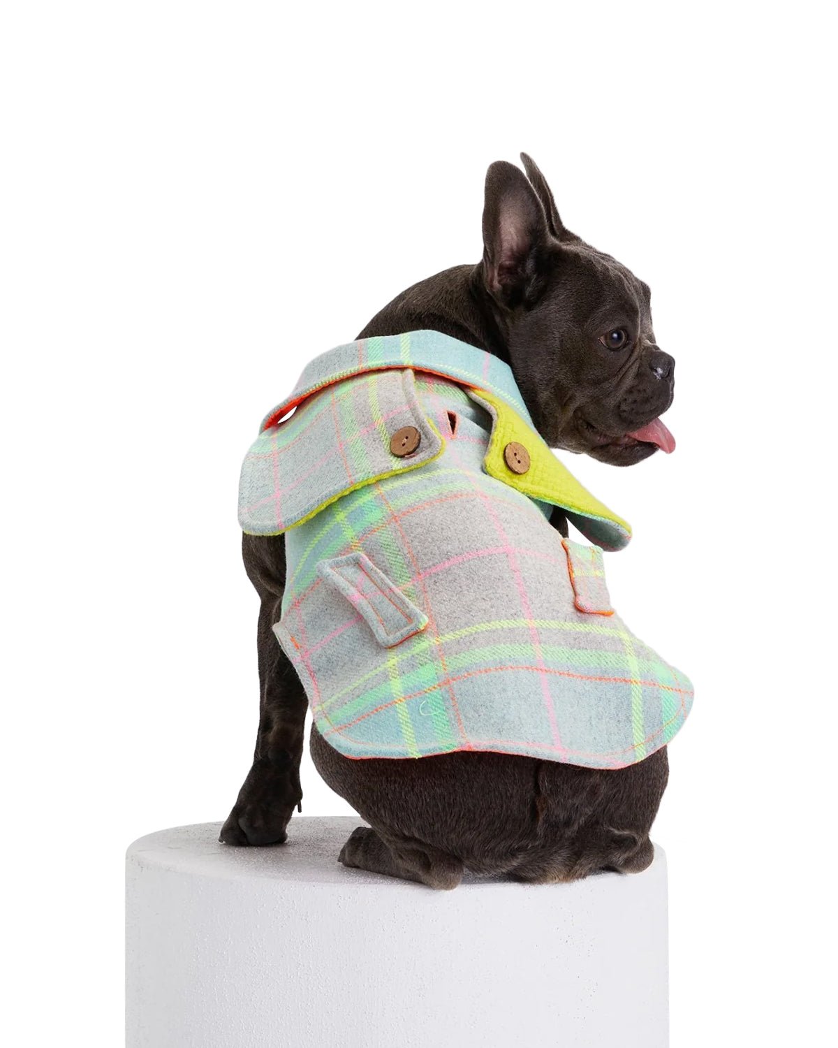 Tartan Dog Coat