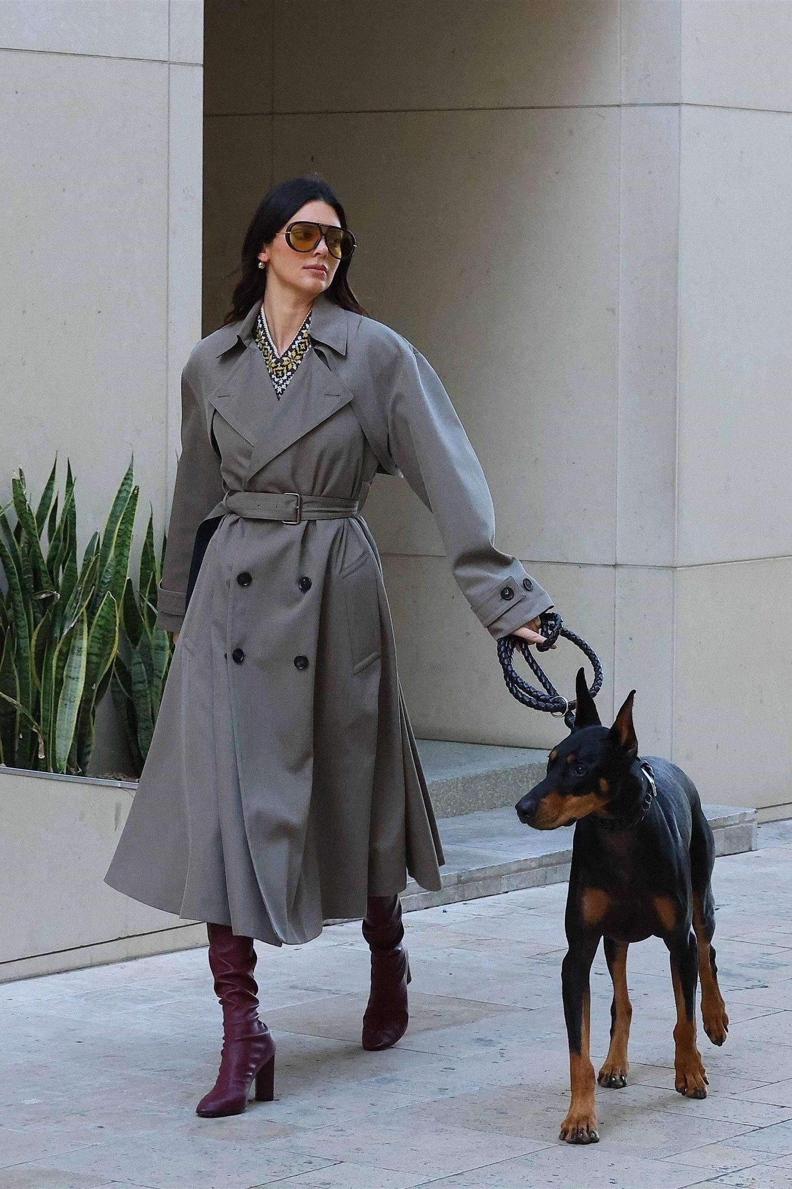The Celebrity Dog Walk Starter Pack: Matching Outfits, Iced Coffee, and Zero Control