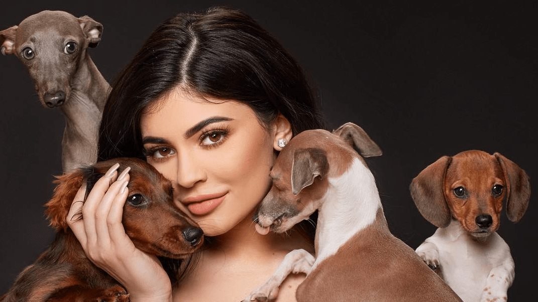 Kylie Jenner's Italian Greyhounds Are a Masterclass in Celebrity Pet Branding