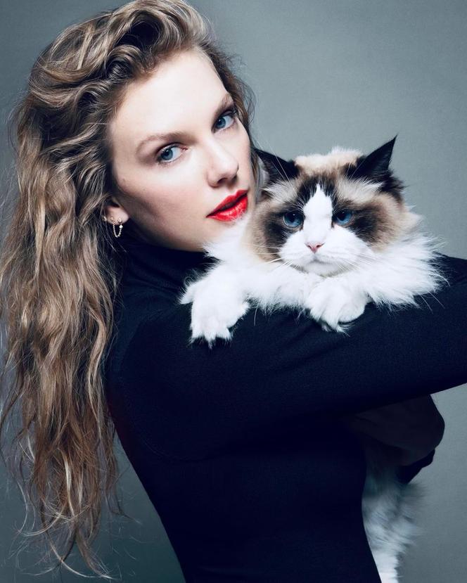 Taylor Swift's Cats Are the Most Famous Pets in Pop Culture — Here's Why