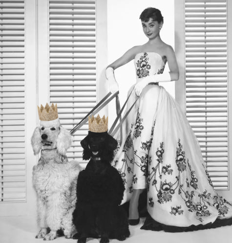 Audrey Hepburn’s Love of Animals Still Inspires Pet Lovers Today