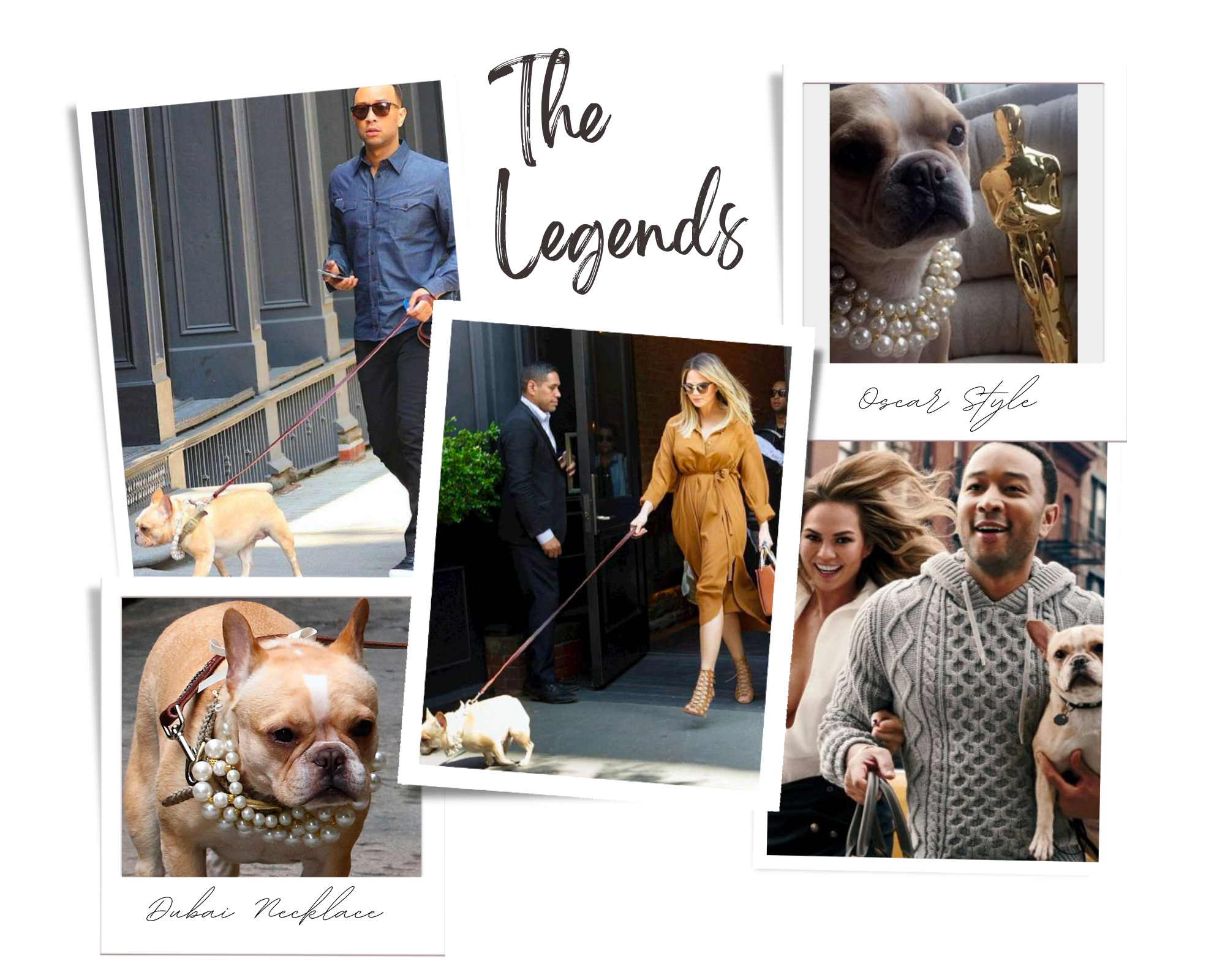 John Legend, Chrissy Teigen, Hollywood pets, celebrity pet style | Moshiqa