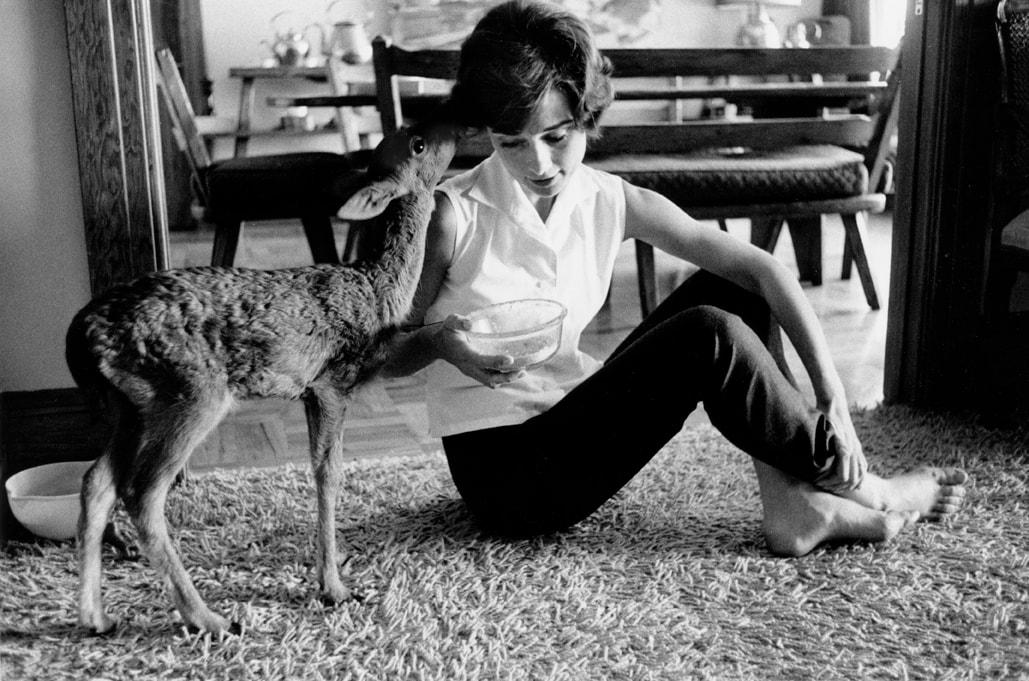 If They Had Instagram: What Classic Hollywood Pet Content Would Have Broken the Internet