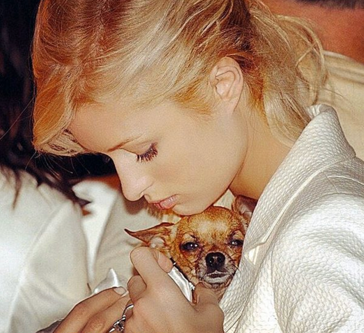 Gone But Never Forgotten: A Tribute to the Celebrity Pets Who Lived Extravagantly and Loved Deeply