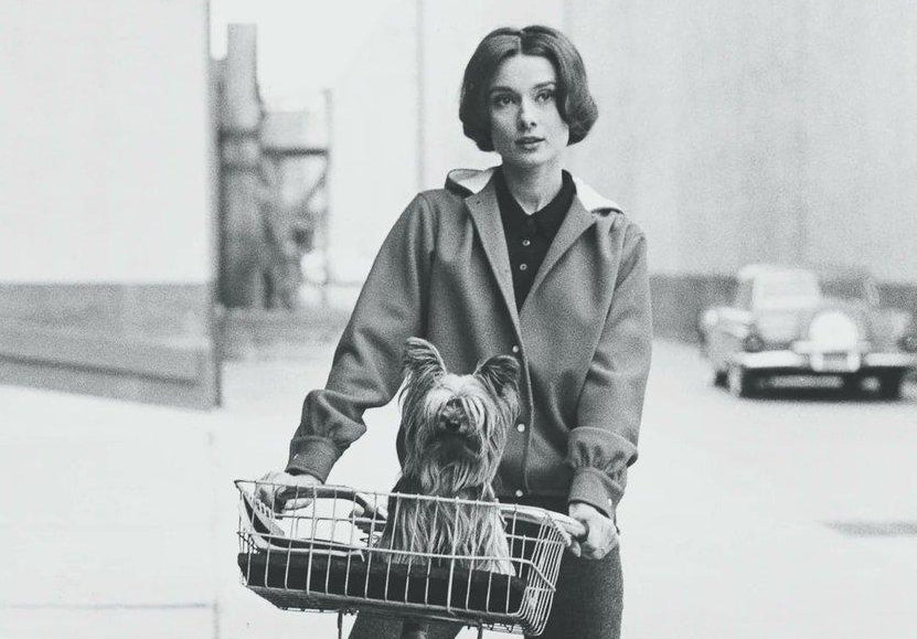 Audrey Hepburn & Mr. Famous: The Little Love Behind the Legend