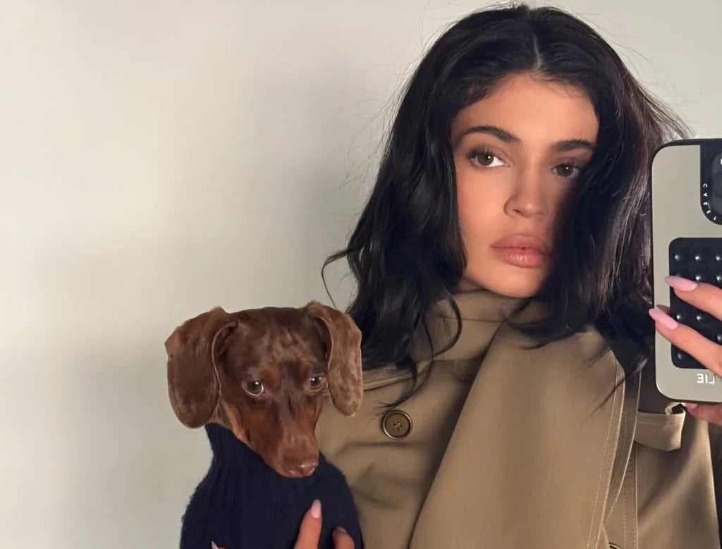 Kylie Jenner's Dogs: Instagram Fantasy vs. Paparazzi Reality — The Full Breakdown