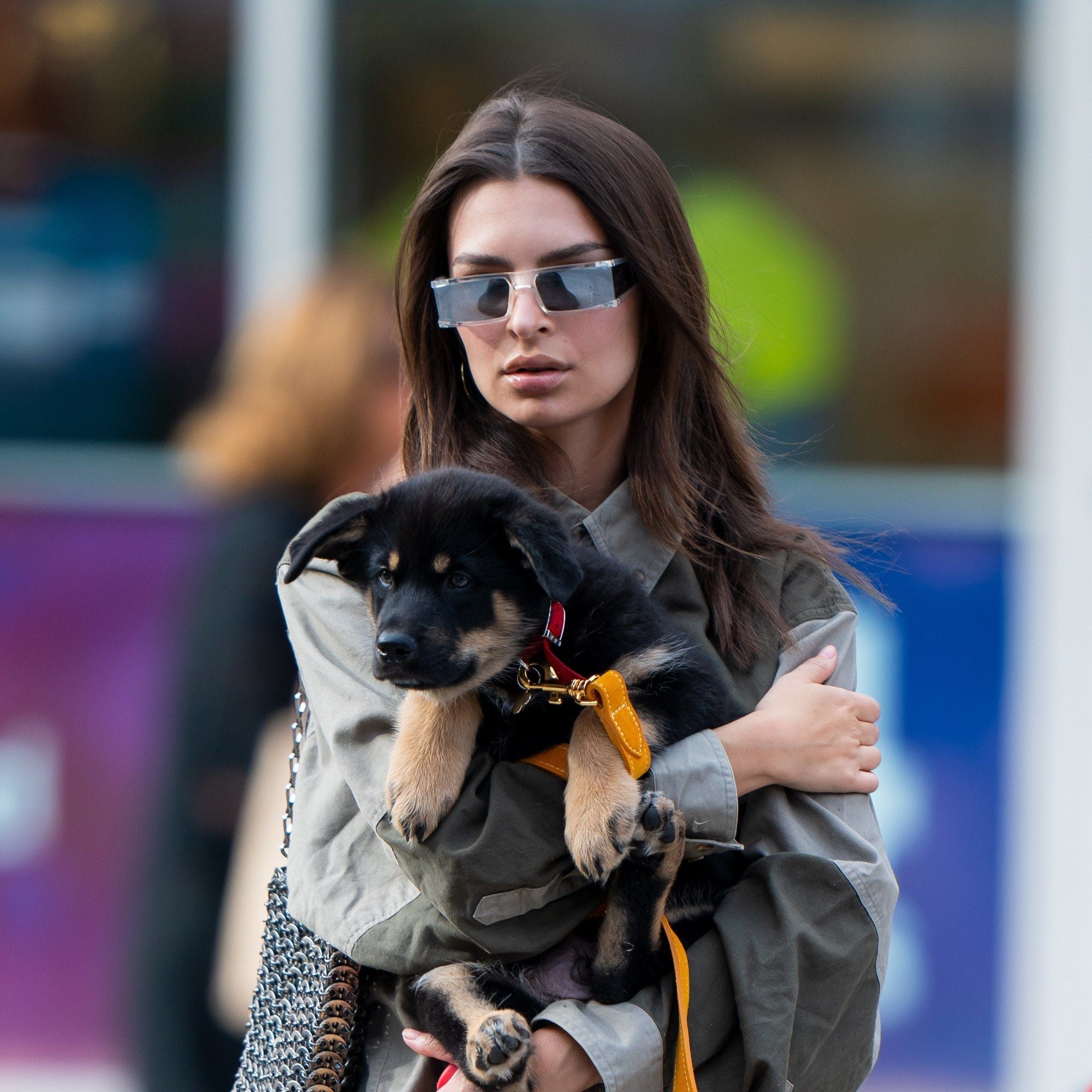 Emily Ratajkowski Walking Colombo in NYC Is the Street Style Dog Moment We've Been Waiting For