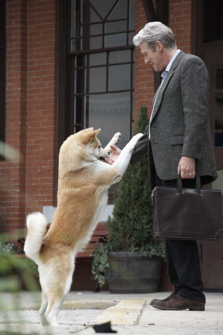 Hachi: A Dog’s Tale