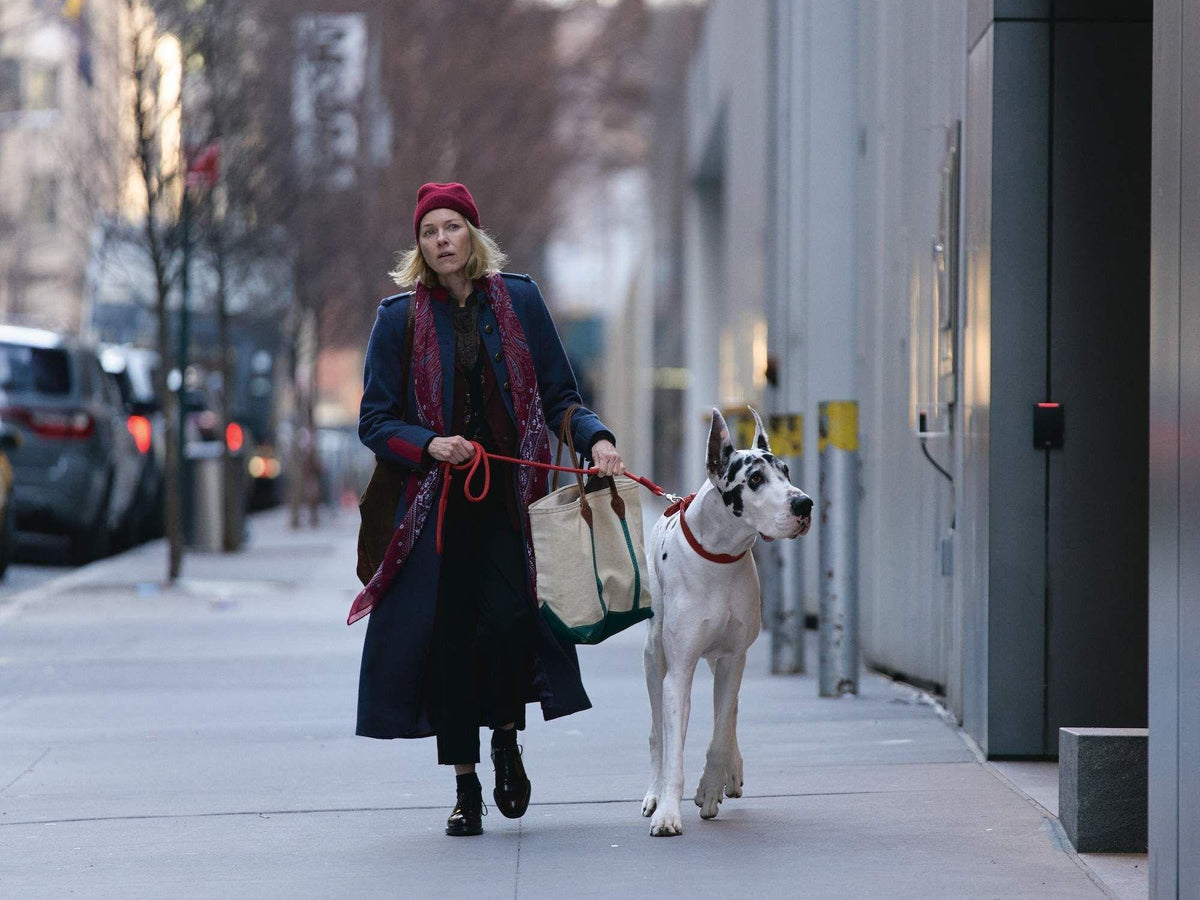 THE FRIEND — Naomi Watts & Apollo