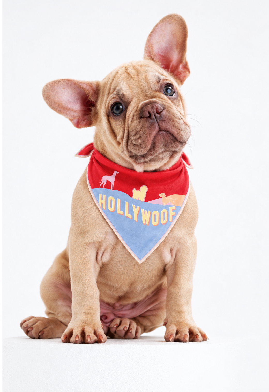 Hollywoof Dog Bandana