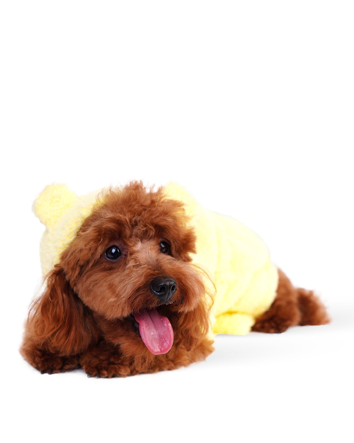 Baby Chick Dog Bathrobe