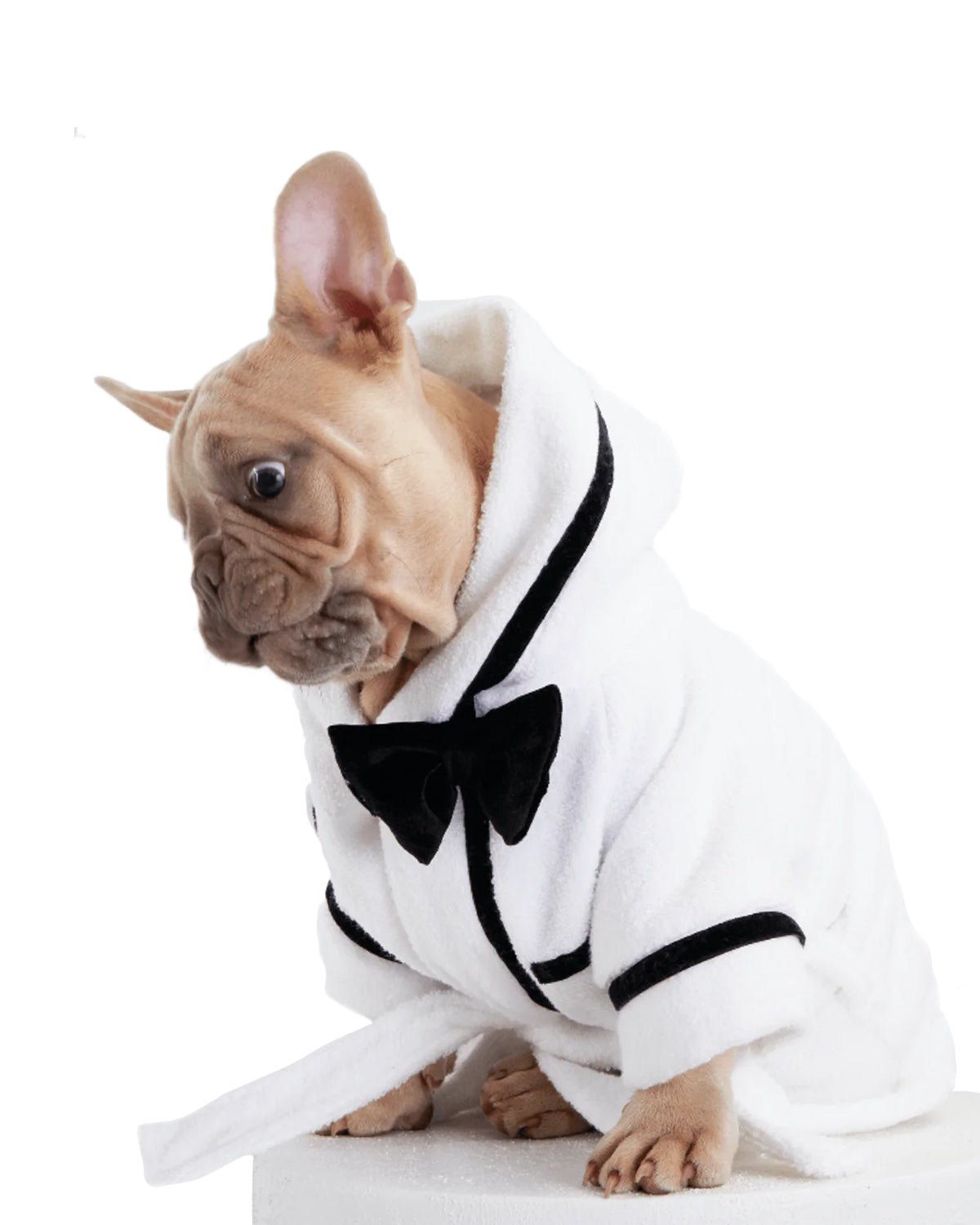 Best Man Cat Bathrobe