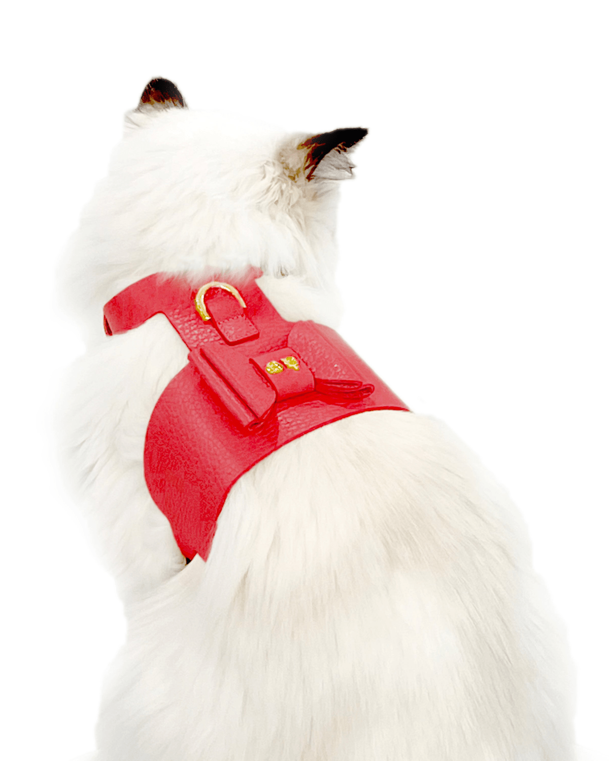 Bijou Cat Harness