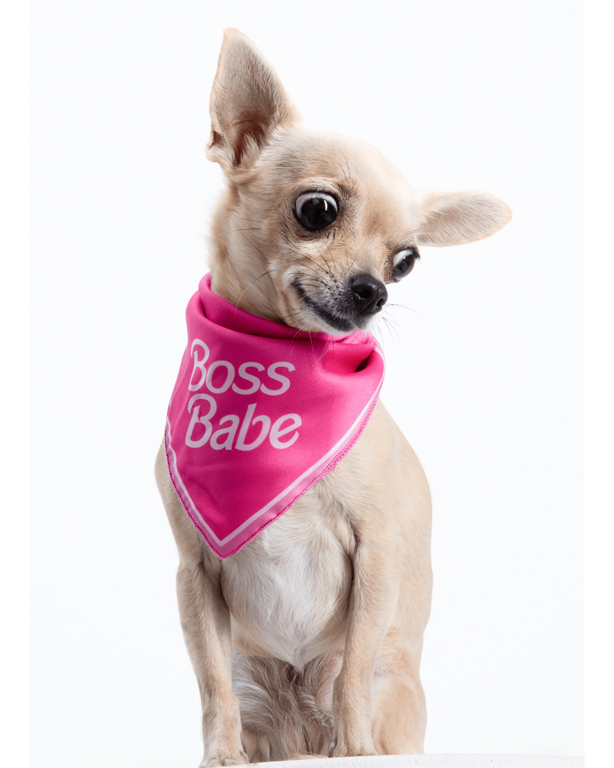 Boss Babe Dog Bandana