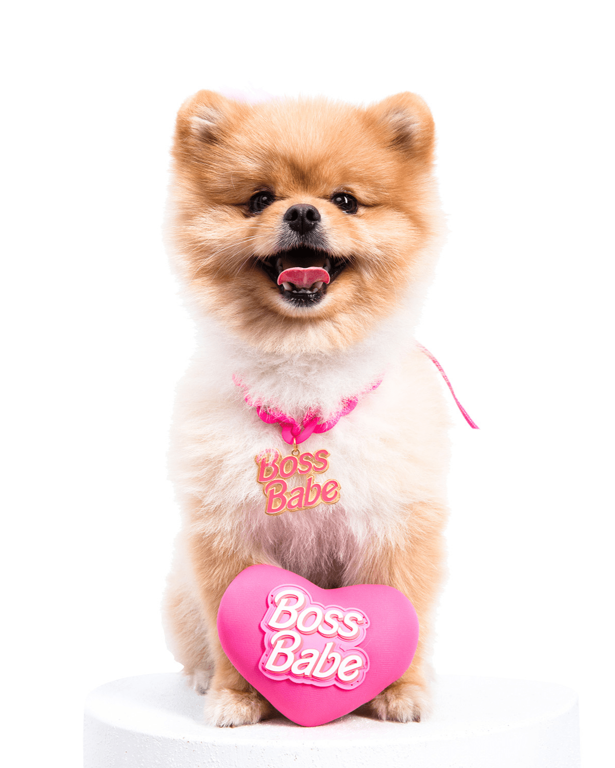 Boss Babe Dog Necklace — Paris Hilton × Moshiqa | As Seen on Miley Cyrus & Chrissy Teigen's Dogs