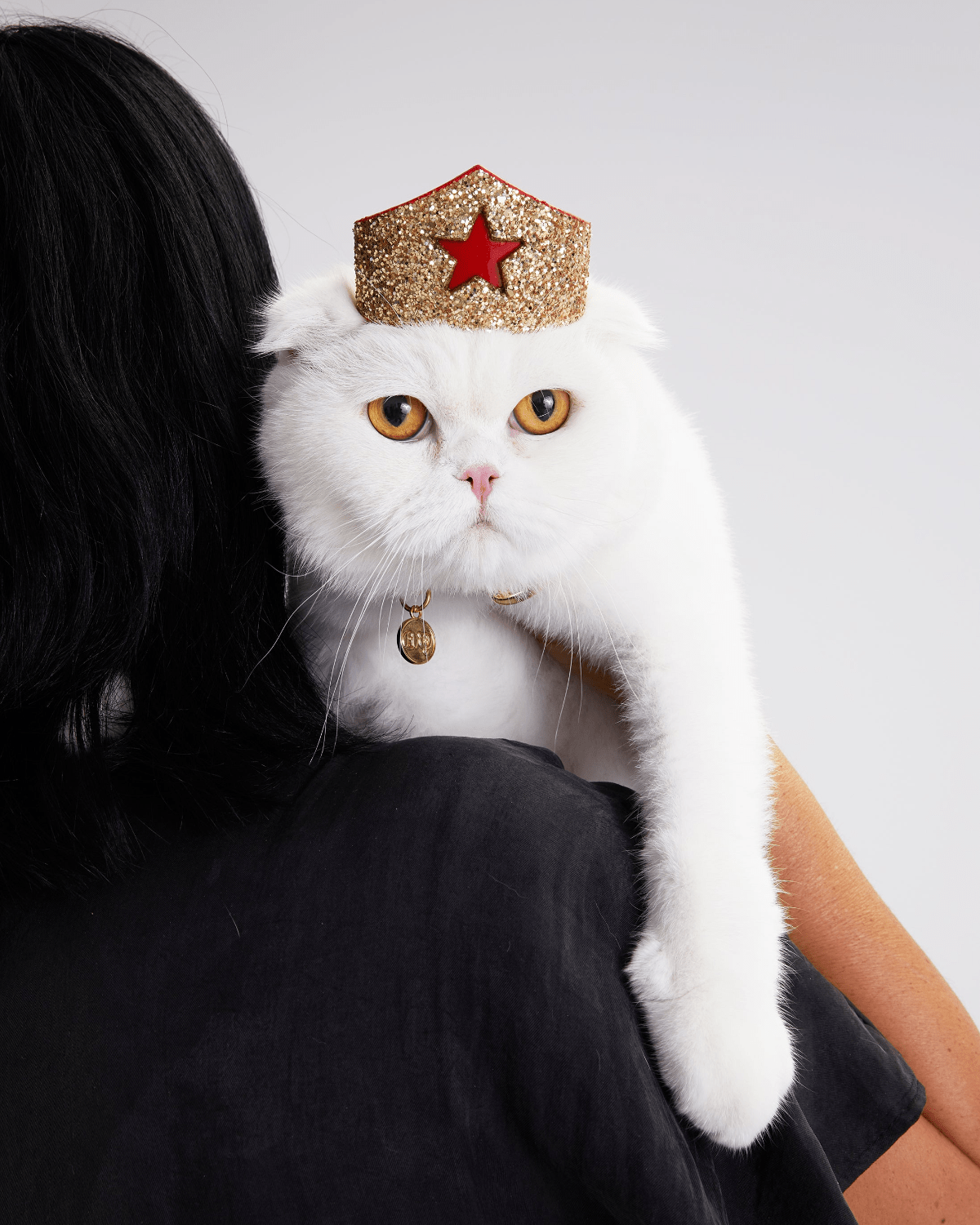 Golden Star Tiara for Felines