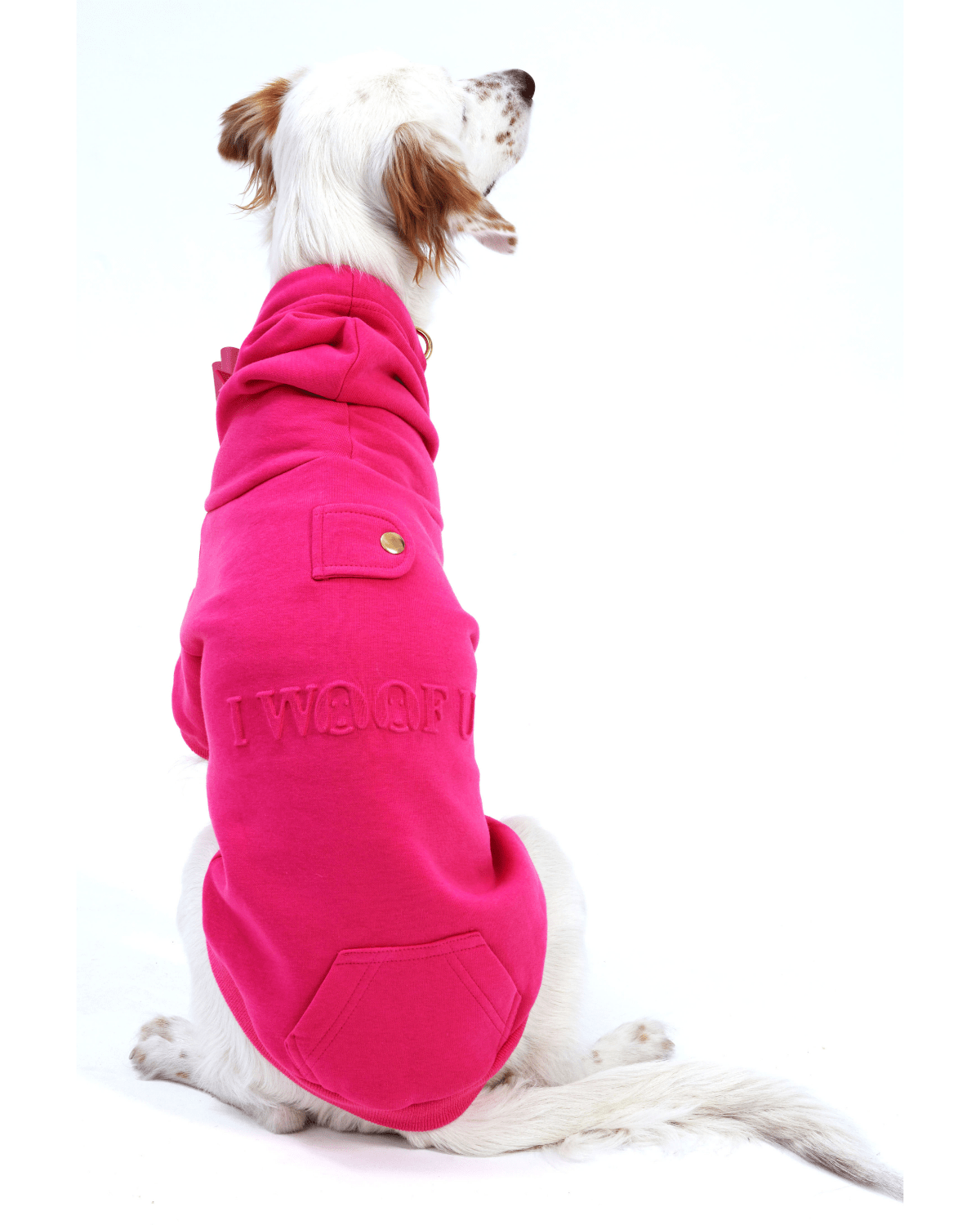 I Woof U Dog Hoodie — Paris Hilton × Moshiqa Matching Dog & Owner Hoodie